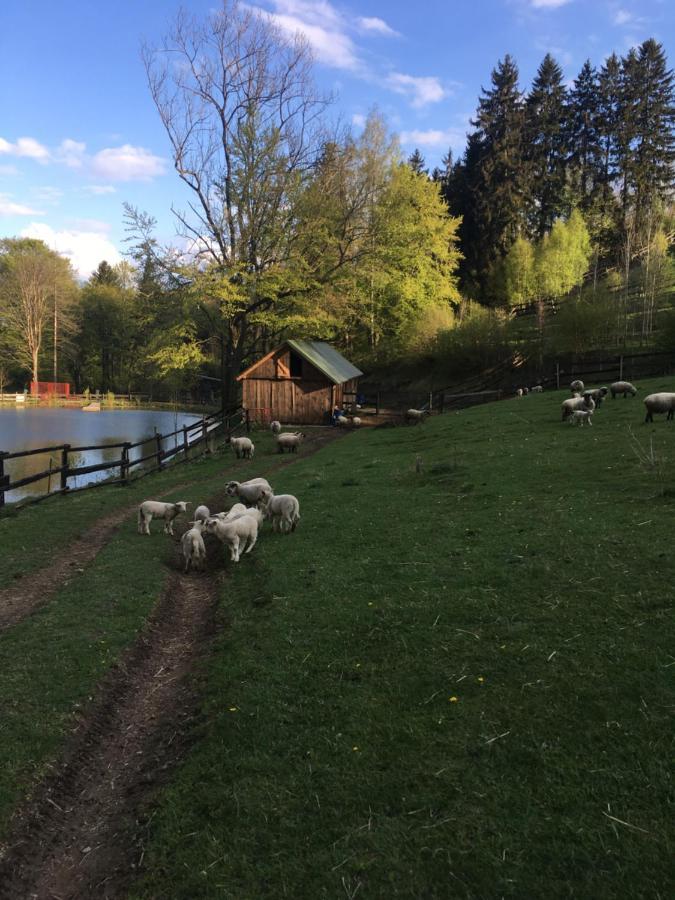 Chalupa Skalka Ceska Metuje Bagian luar foto